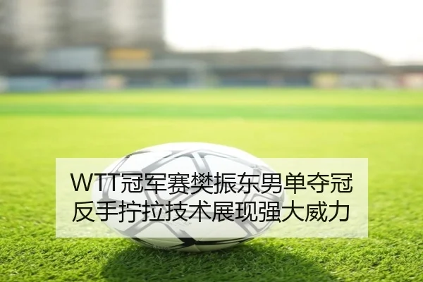 WTT冠军赛樊振东男单夺冠 反手拧拉技术展现强大威力