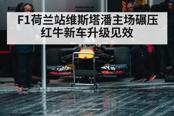 Max Verstappen Red Bull racing