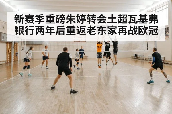 volleyball court action