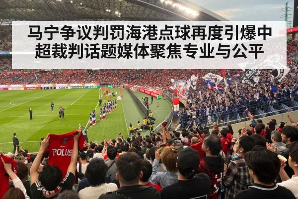 football stadium fans